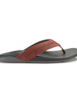Tuahine Palm  -  Canoe / Rock